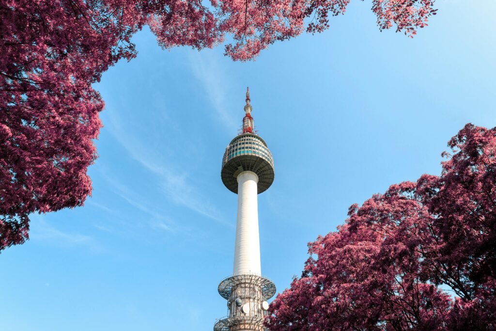 A stunning view of N Seoul Tower surrounded by pink foliage under a clear blue sky in Seoul, South Korea.