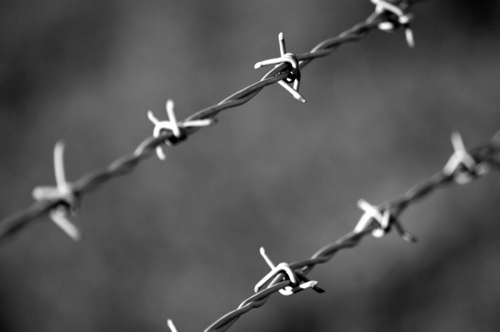 Black and white macro shot of barbed wire, blurring the background for an abstract feel.